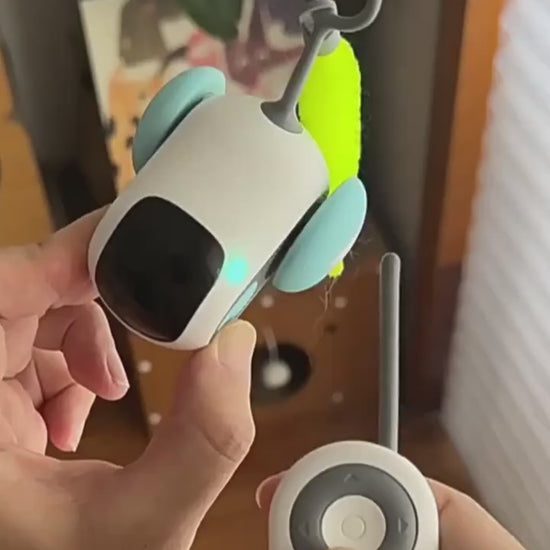 Remote control cat chase car toy demonstration