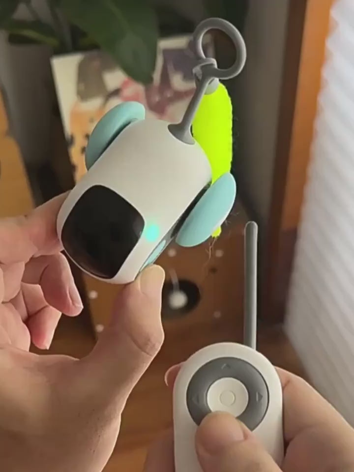 Remote control cat chase car toy demonstration