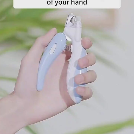 LED electric pet nail grinder demonstration